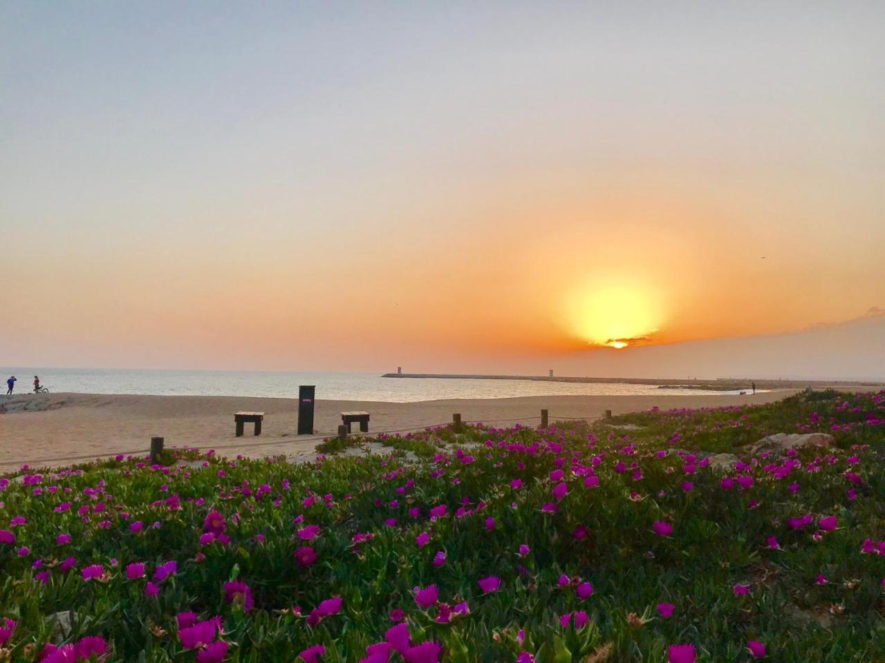 Vilamoura Ferias By Ethnic Ocean Екстер'єр фото